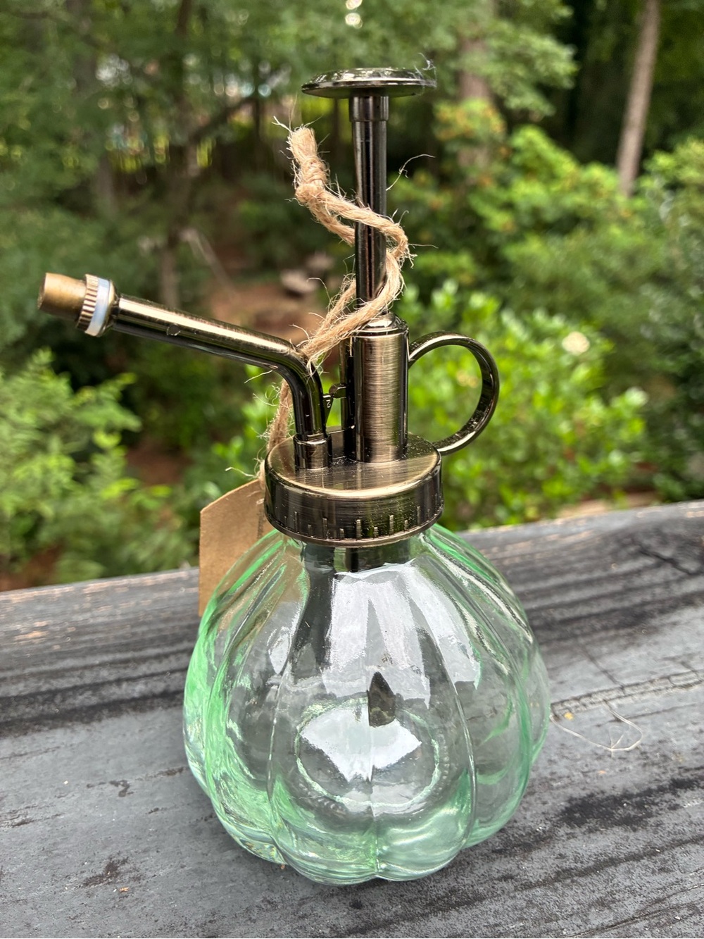 Vintage-Style Glass Plant Mister in Seafoam Green with Brass Top